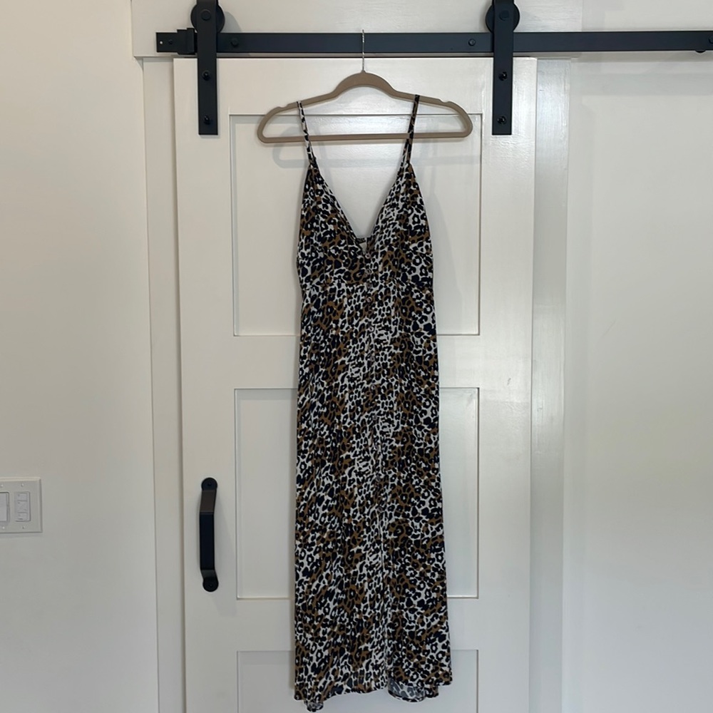 Cleobella Leopard Dress